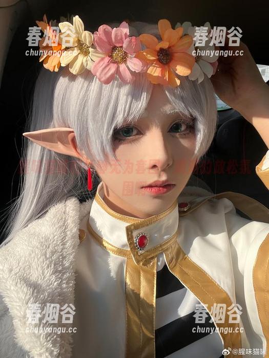 腥味猫罐的恬静无为套图，满满的放松氛围啊